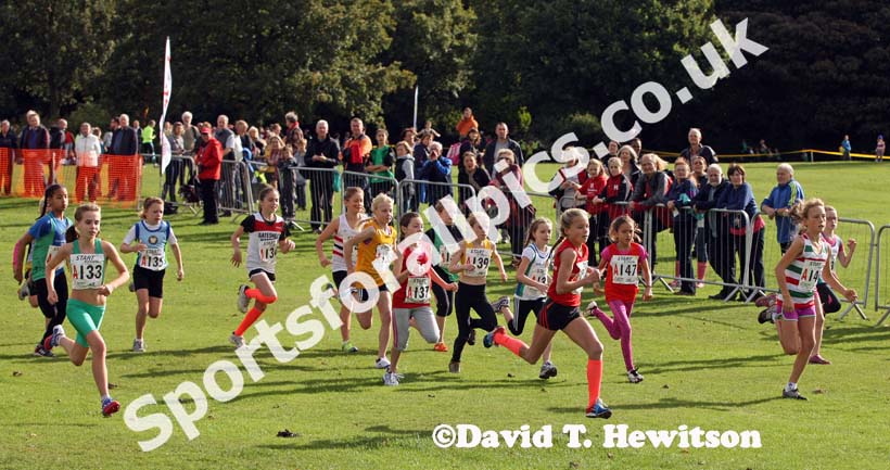 Start of the under-11 girls Northern Cross Country Relays, Graves Park, Sheffield.